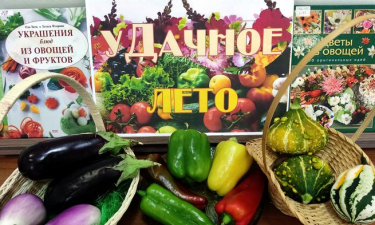 «уДачное лето» в Областной библиотеке