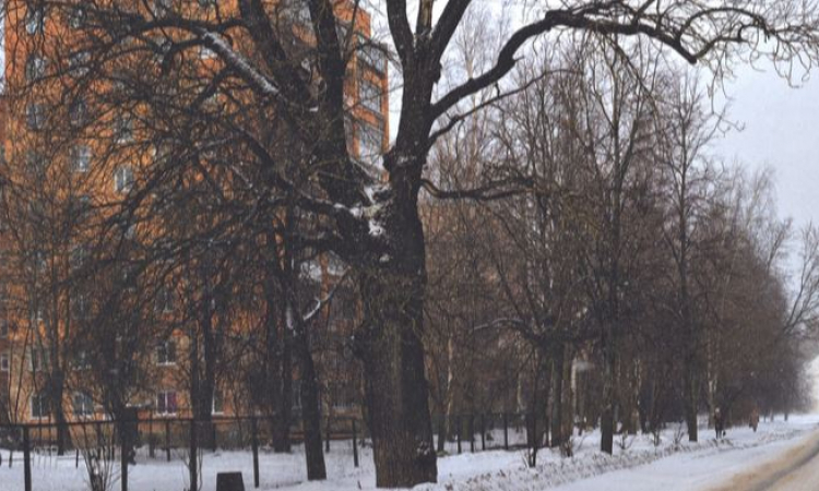 Десятинная улица: страницы истории