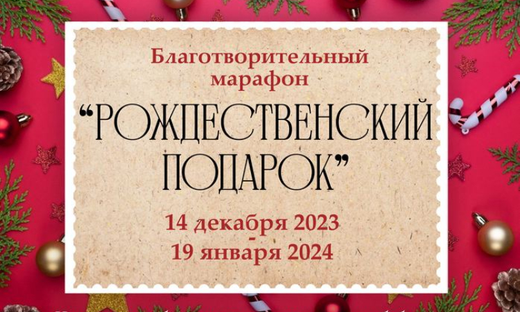 Новгородская областная универсальная научная библиотека продолжает принимать книги в рамках марафона «Рождественский подарок»