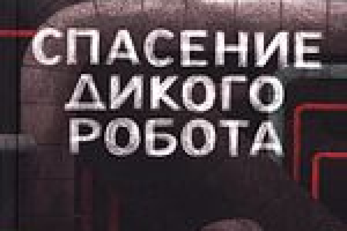 Спасение дикого робота. Питер Браун библиография. Питер Браун дикий робот Автор. Питер Браун встреча дикого робота.