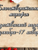 Акция «Рождественский подарок» в областной библиотеке