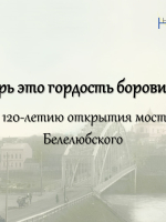 Книжно-иллюстративная выставка «Теперь это гордость боровичан»