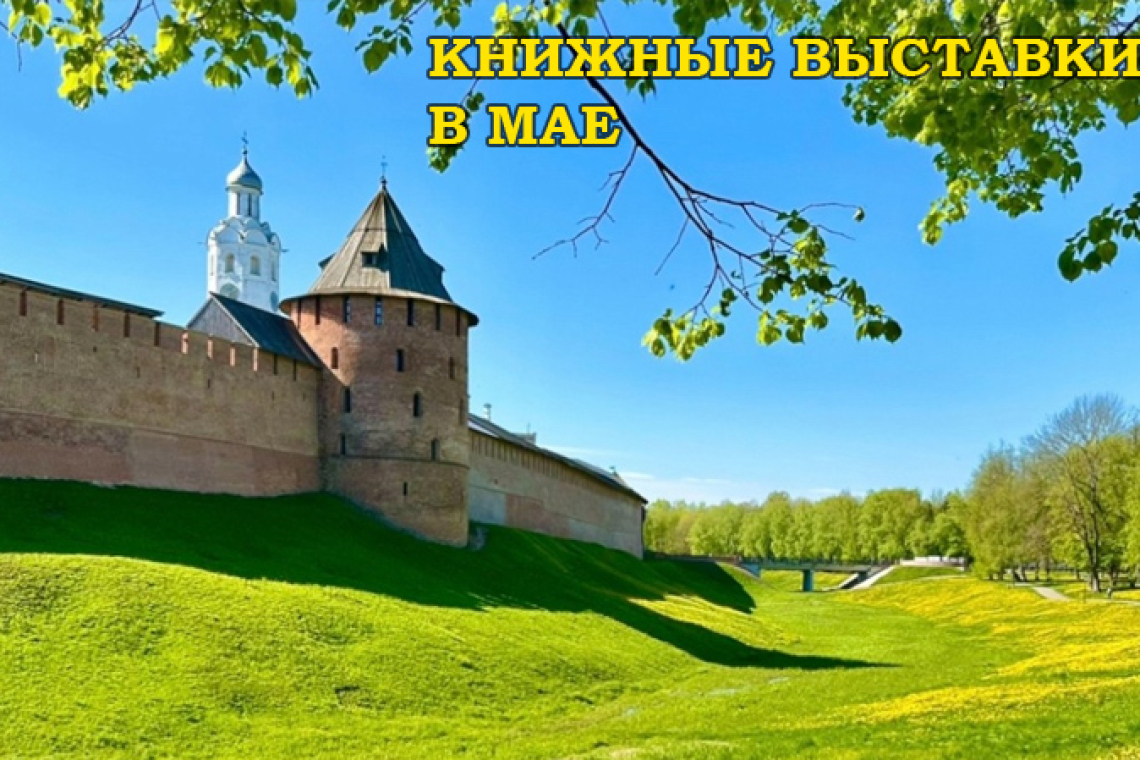 Книжные выставки - В МАЕ